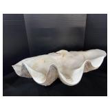 Giant Clam Shell.
