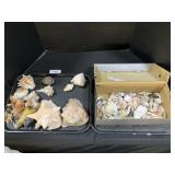 Seashells, Conch Shells, Pet Figurines, Homco.