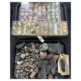 Various Shells, Rocks & Minerals.