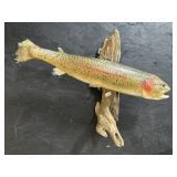 Taxidermy Rainbow Trout Fish Mount.
