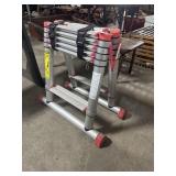 5ft Telescoping Ladder.