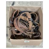 Equestrian Horse Riding Saddlery.