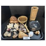 Sea Shells, Bamboo, Coasters.