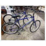 Schwinn Mountain Bike.