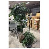 Floor Lamp, Artificial Ficus & Plants.