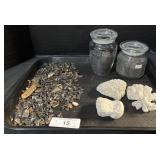 Shark Teeth, Coral, Pebbles.