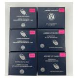 6 99.9% Silver U.S. Mint American Eagles.