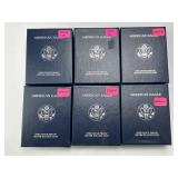 6 2001-2006 .999 Silver American Eagles.
