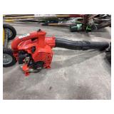 Echo PB-2520 Blower.