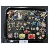 Costume Jewelry Pins & Earrings.