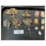 Cameo Pins & Assemblage Brooches.