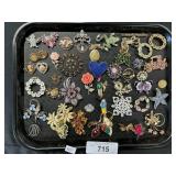 Sterling Silver & Costume Jewelry Pins.