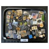 Costume Jewelry Pins.