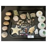 Carved & Natural Crystals & Gemstones, Seashells.
