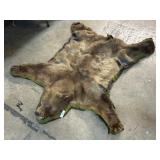 Taxidermy Brown Bear Fur Hide.