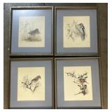 4 Framed Bird Watercolor Art Prints.