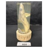 Wet Specimen Preserved Shark Pup.