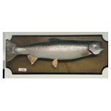 Mounted Taxidermy Rainbow Trout.