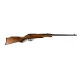 Remington 580 .22 S, L, LR Rifle**.