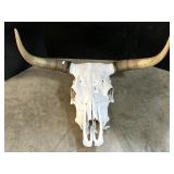 Texas Longhorn Taxidermy Steer Skull.