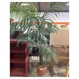 Artificial Palm Tree.