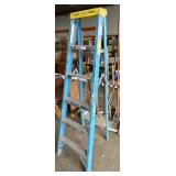 6ft Werner Ladder.