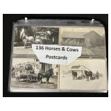 Horse & Cow Photo Postcards.