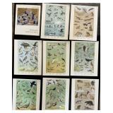 1965 Pa Game Commission Prints, Persian Art Book.