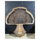 Taxidermy Turkey Feathers & Talons.