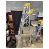 Werner 6ft Ladder.