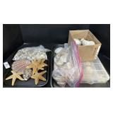 Large Lot Of Seashells & Starfish.