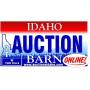June 8th - Tools, Guns, Sporting Goods & General Auction