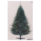 6.5 ft Douglas Fir Christmas Tree
