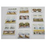 T.W. Ingersoll Sportsman