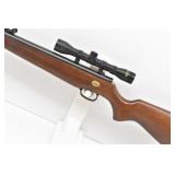 Beeman Air Rifle, Sportsman RS2 Series + Daisy ...