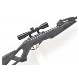 Gamo 10 Shot Swarm Hornet .177 Air Rifle