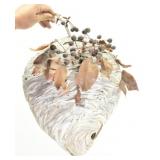 Gorgeous Bald Faced Hornet Nest