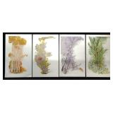 Set Four Seasons Prints by Delfino