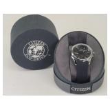 Citizen Eco-Drive WR 100 Watch