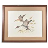 Pintails by Ken Carlson S/N Print