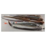 Fly Tying Supplies:  - Ringneck Tail Feathers...
