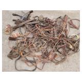 Collection of Leather Horse Tack / Harnesses