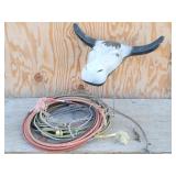 Steer Head Roping Dummy & Lariat Ropes