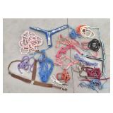 Colorful Horse Tack