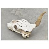 Sun Bleached One Horn Bull / Cow Skull