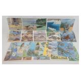 (35+/1) M.A. Donohue & Co Wildlife Pictures