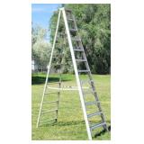 WERNER Duty-Master 12ft. Industrial Ladder