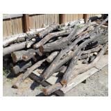 Fresh Cut Elm Logs / Firewood...