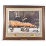 SHALLOW POND MALLARDS Print by Maynard Reece
