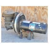 Sta-Rite Swimming Pool Pump